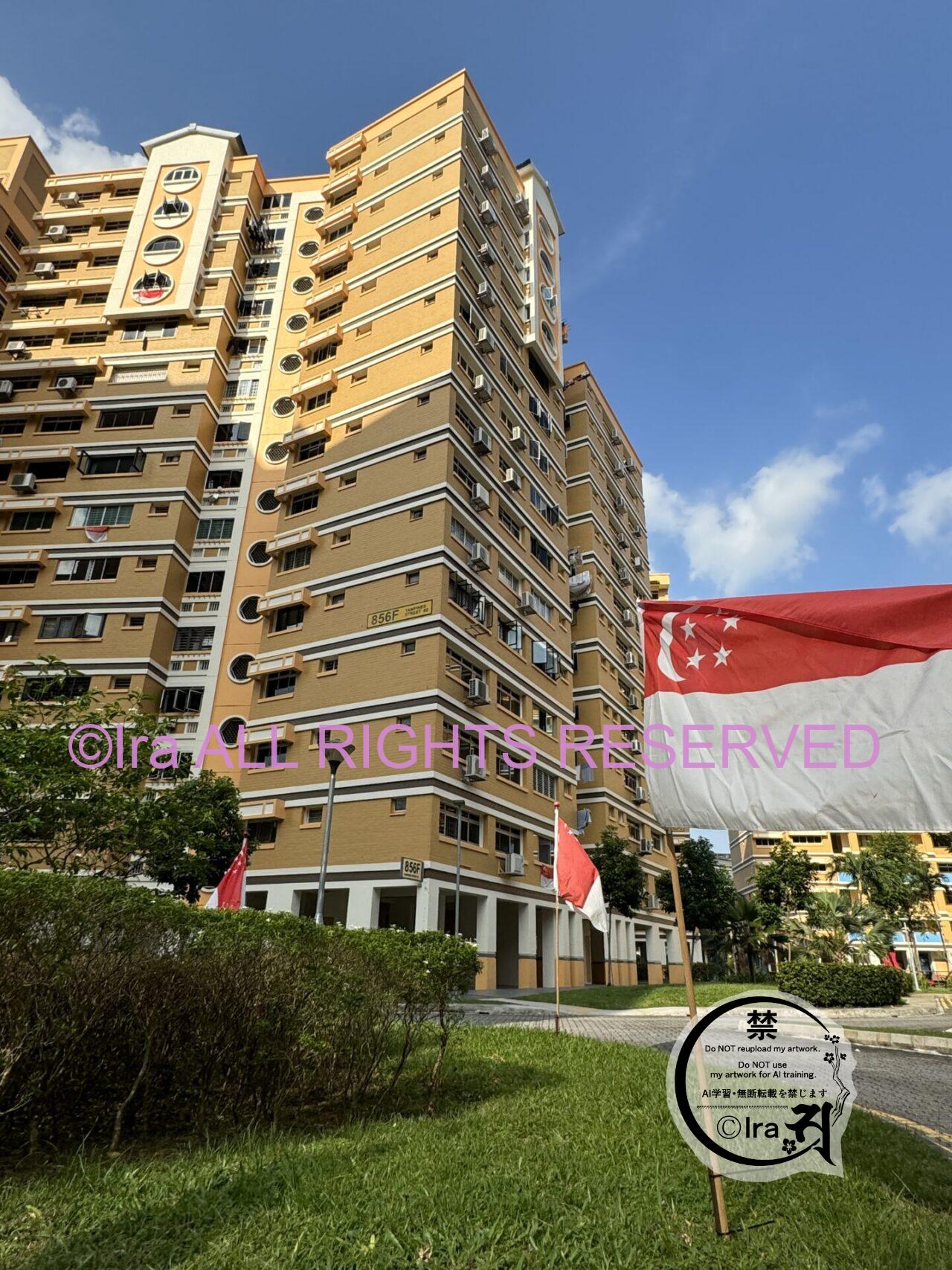 国連の「世界居住賞」を受賞.レトロ大都市Tampines(タンピネス).シンガポール東部 IMG 0879