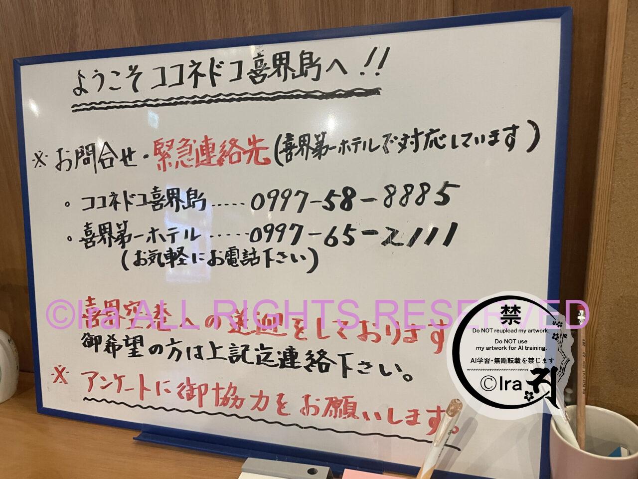 【宿泊体験】喜界第一ホテル.ココネドコ喜界島(Coco ne doco Kikai Island) IMG 0977
