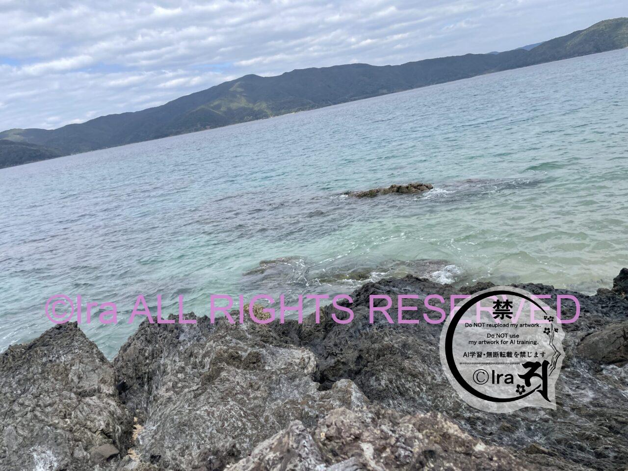 平の子孫.諸鈍シバヤとカケロマブルー.加計呂麻島.奄美群島.鹿児島 IMG 6283
