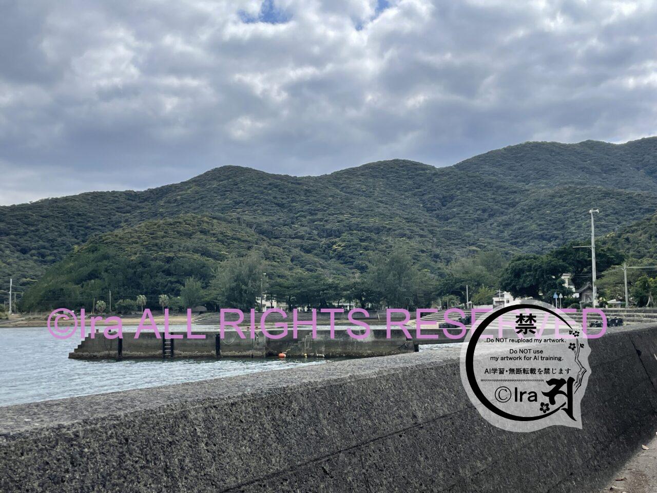 平の子孫.諸鈍シバヤとカケロマブルー.加計呂麻島.奄美群島.鹿児島 IMG 6291