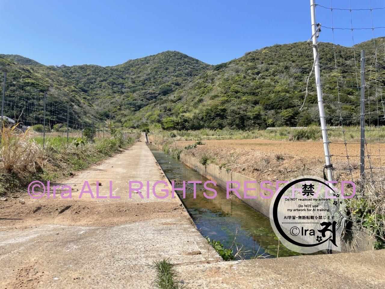 石垣迷路と大漁の与路島.鹿児島 IMG 71901
