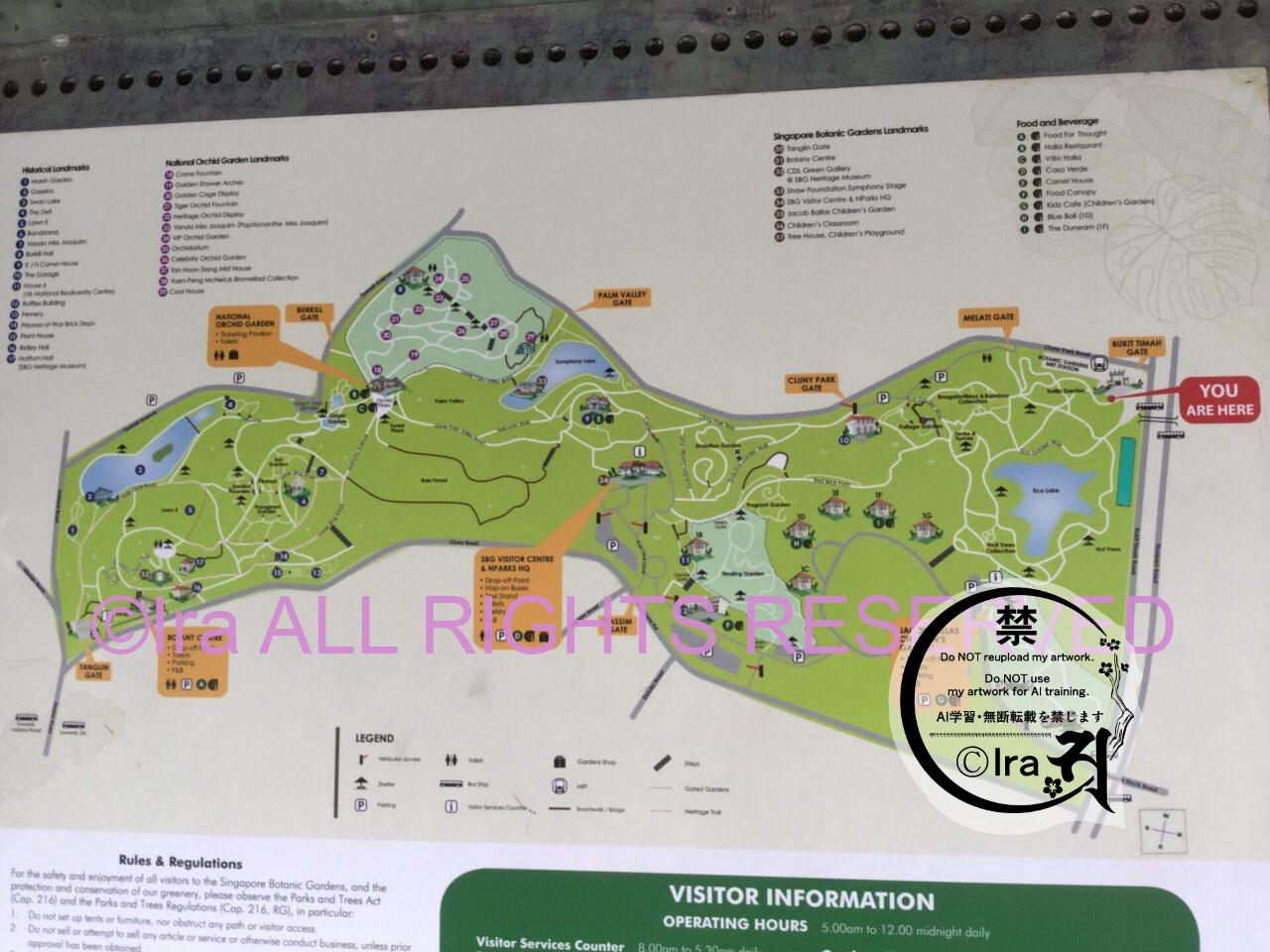 【5-24時無料開園】2015年世界遺産登録シンガポール植物園.蘭と鳥.障害者にも優しい公園 IMG 9984