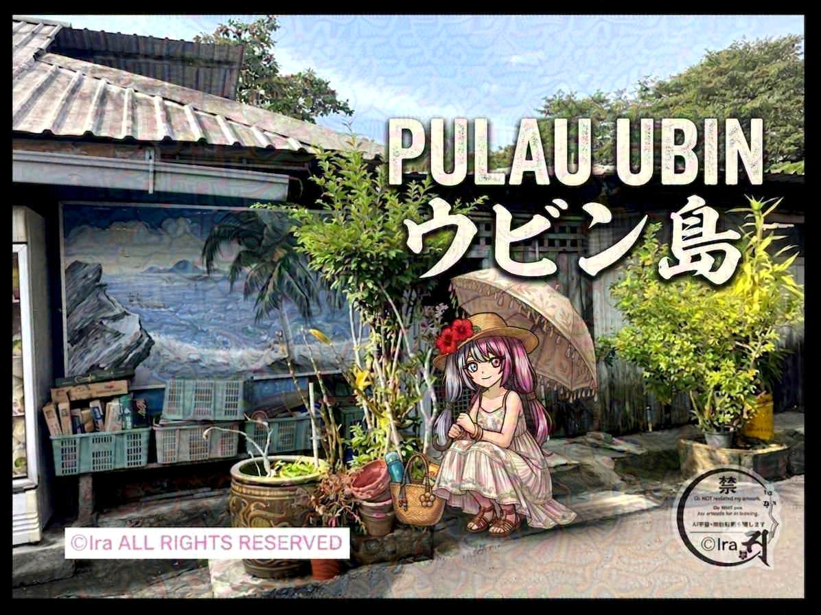 🇸🇬選ばれた人しか住めないノスタルジックな村:Pulau Ubin(ウビン島)シンガポール bb3c3417b4384e084d80e627d8011a80 シンガポールのウビン島(Pulau Ubin)の集落風景と壁画の家