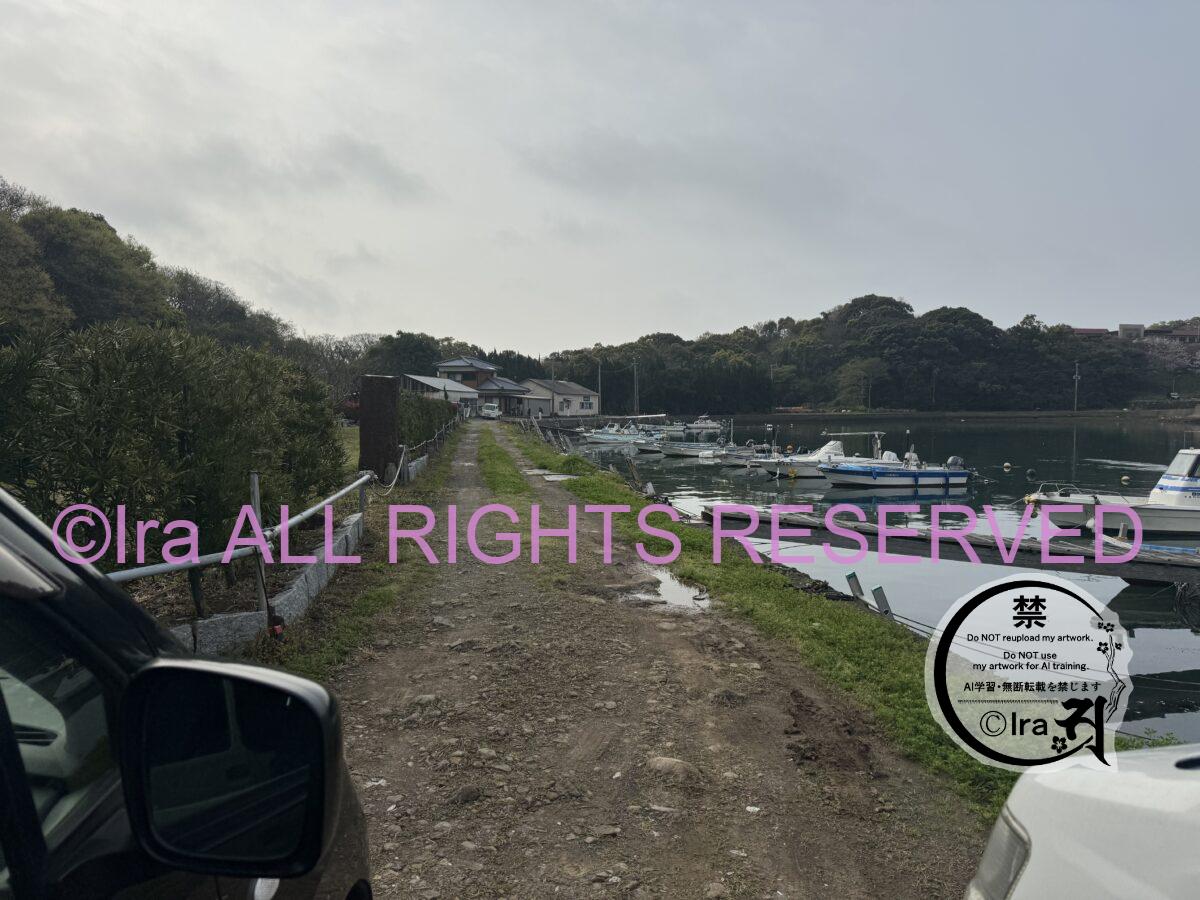 ミニハイキングコースと化している曲崎古墳群(まがりざきこふんぐん).長崎市 56e5af2fbba6f8cf45e2b916dfc66ca2
