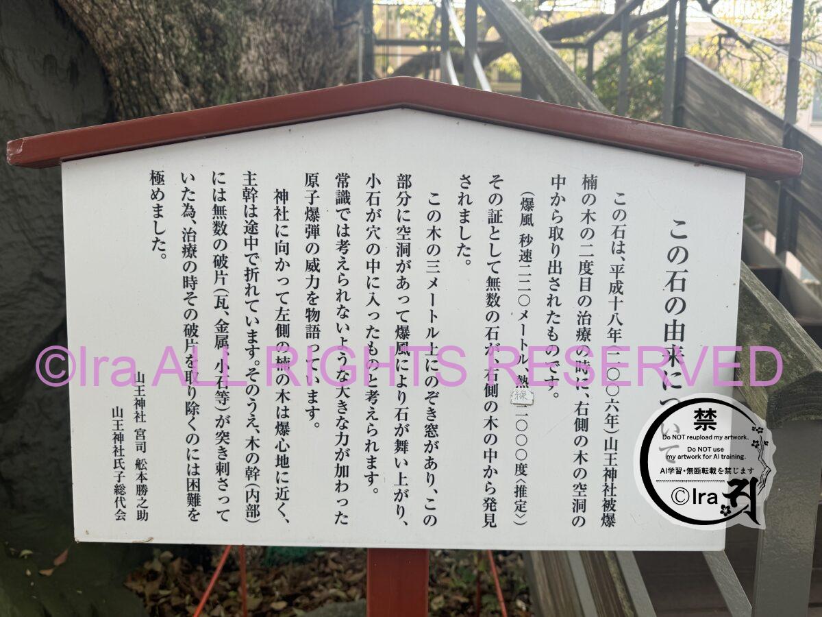 心霊写真のようになってしまった.被爆クスノキ.山王神社 二の鳥居【長崎定番観光地】 a4704dbf2bebe327d5b1d04259d2d709