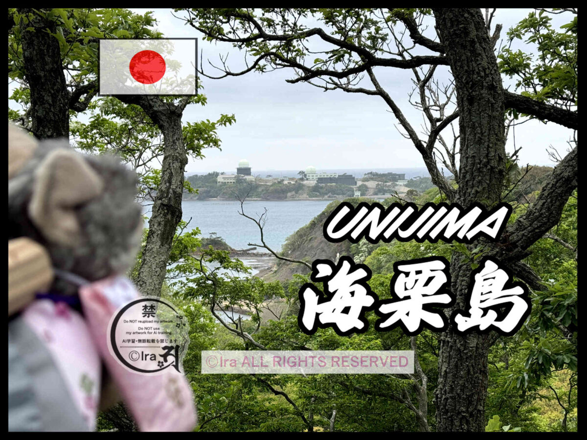 海栗島(うにじま)トップページ.長崎県対馬市の有人島 8e39012fe0dfa7f3996e4309d0c39353