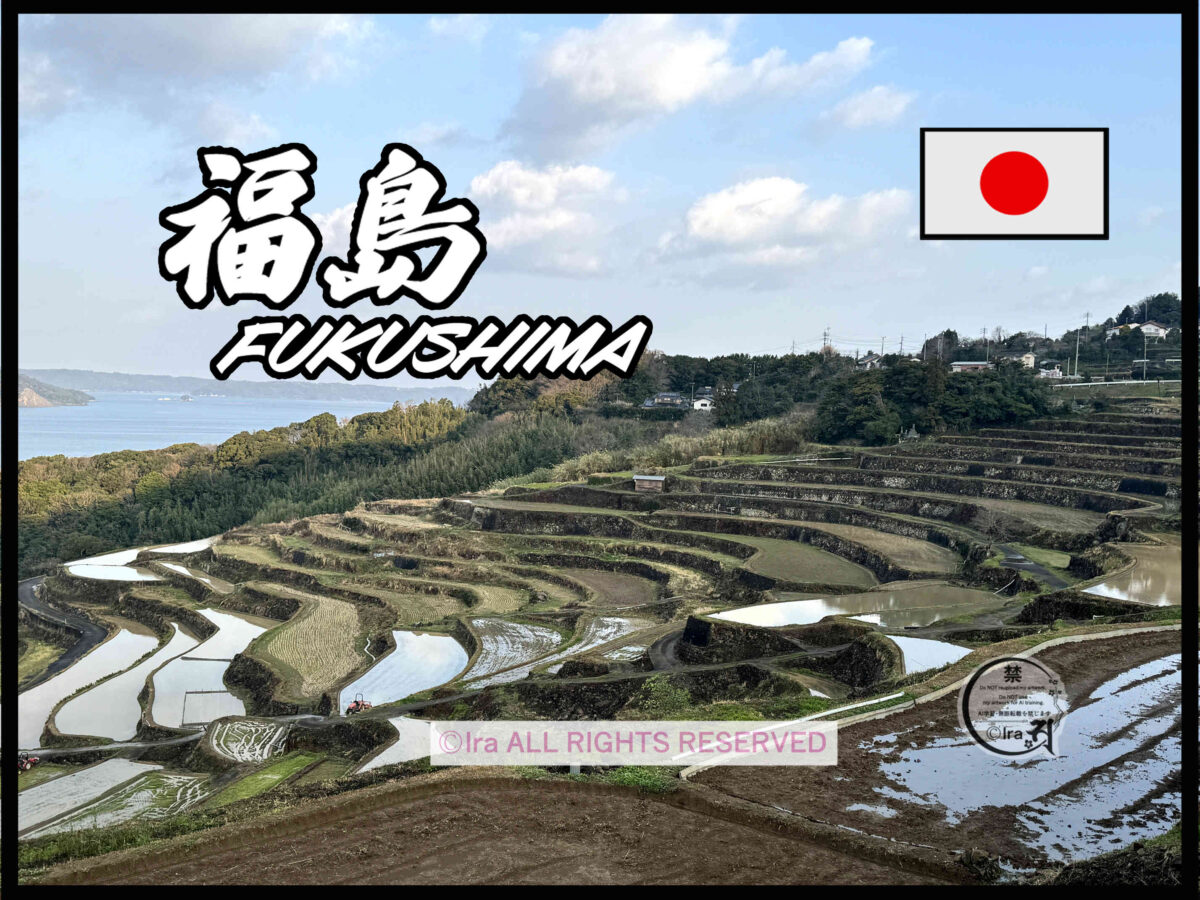 福島(ふくしま)トップページ.長崎県松浦市の有人島 971ce604a558b7f84de57cd7cdb23c67
