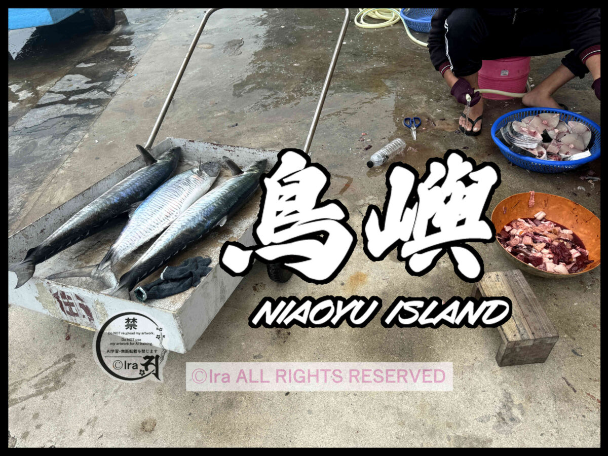 🇹🇼DAY8.鳥嶼への行き方(澎湖→鳥嶼)🛥️27日間29島台湾一人旅 2d24df45aef662167a18a77c3b55c1b9