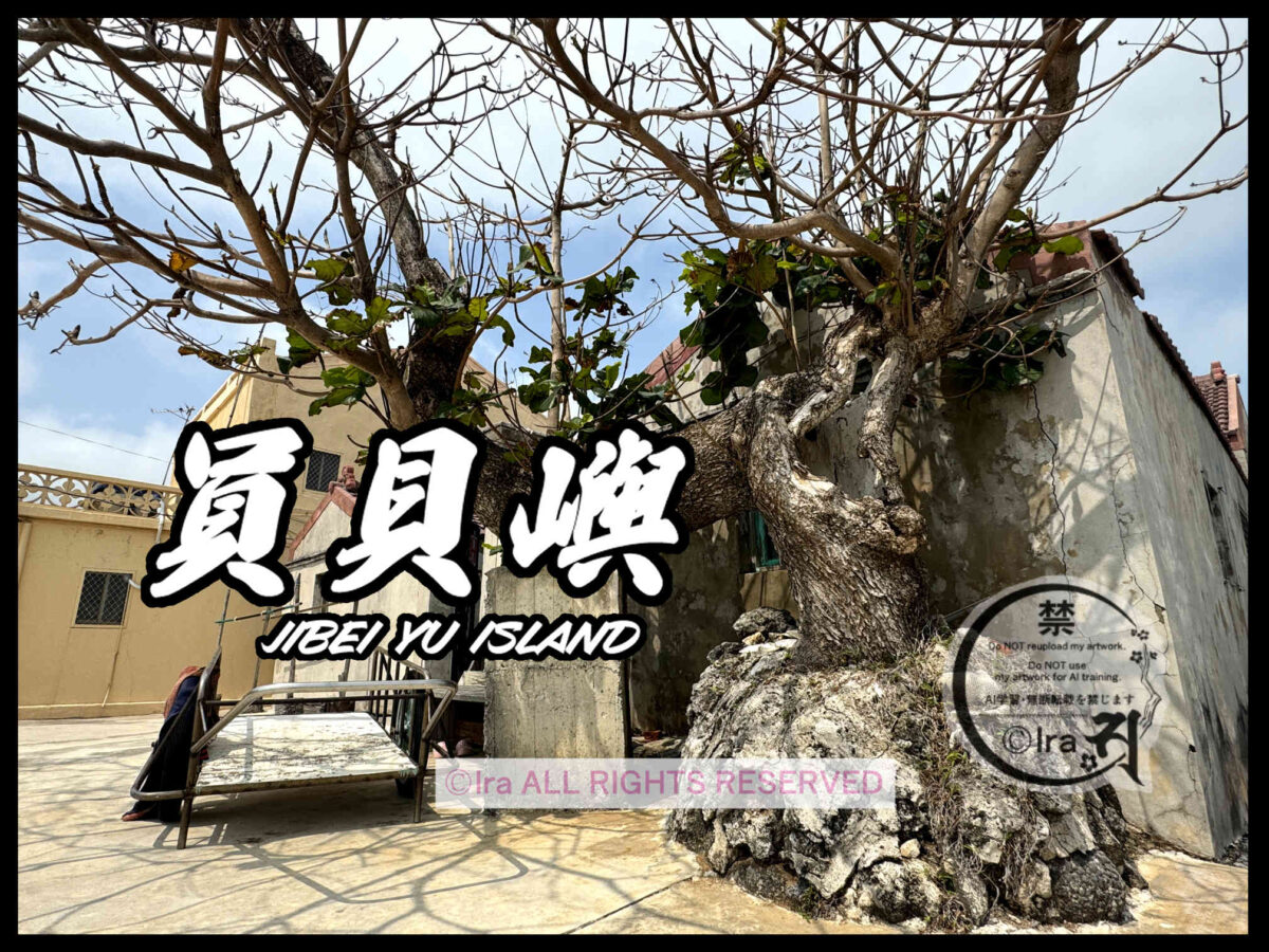 🇹🇼DAY11.員貝嶼への行き方(澎湖→員貝嶼)🛥️27日間29島台湾一人旅 3db10d83a9b4ede3ed72764973d258fe