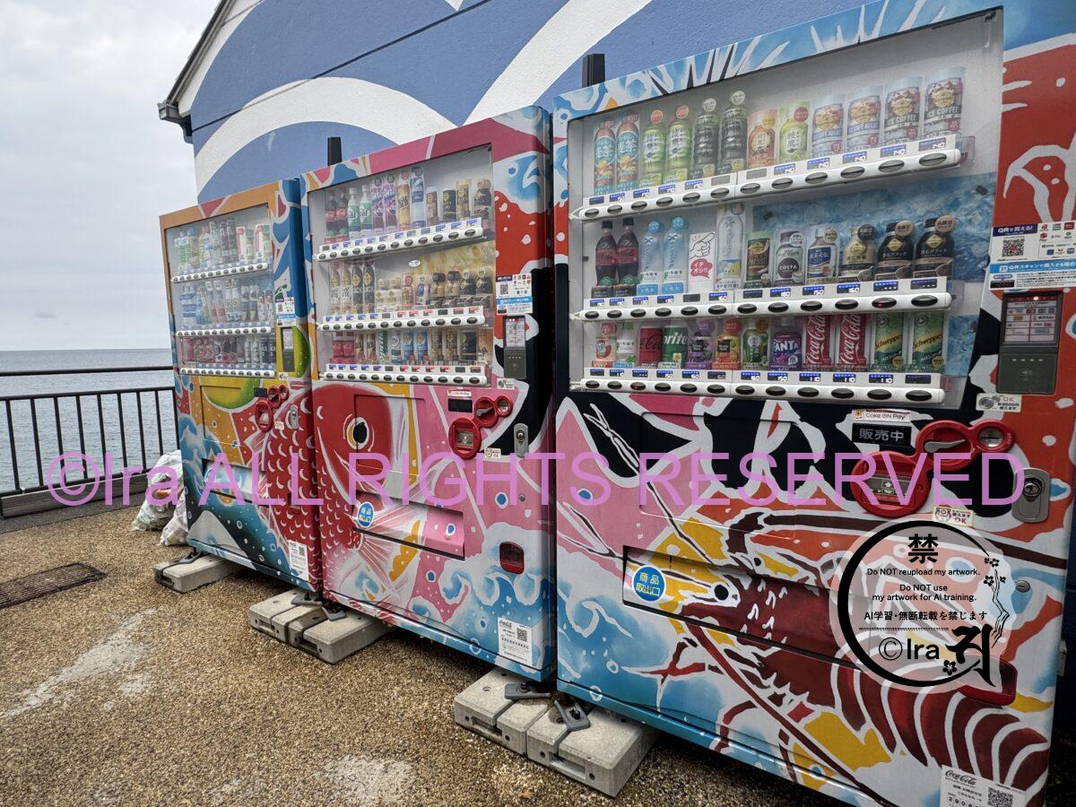 鹿児島県阿久根市トップページ.国際島漫画まはらじまで中盤登場 IMG 2060