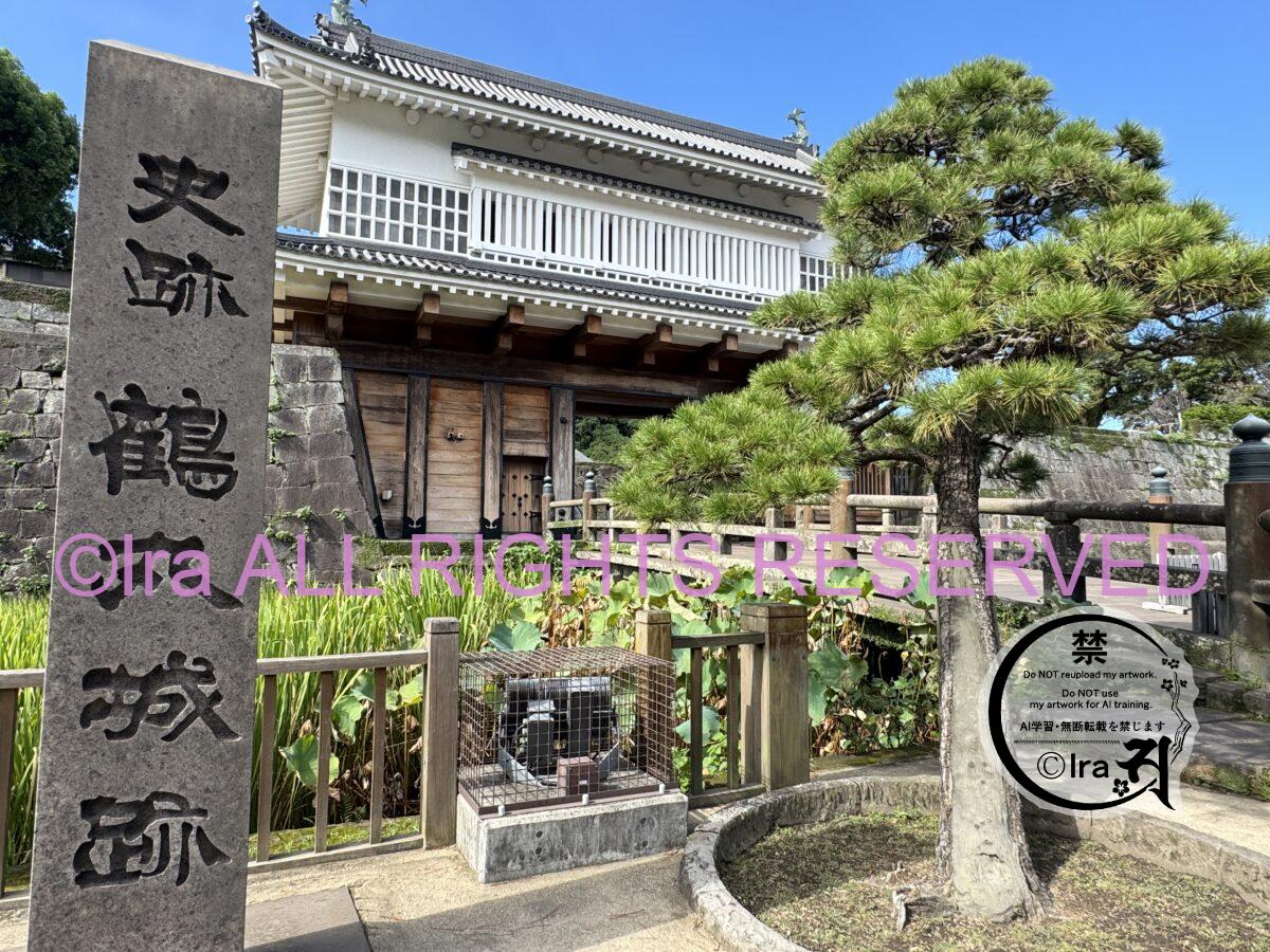 鹿児島市トップページ.国際島漫画まはらじまで序盤から登場 IMG 3654