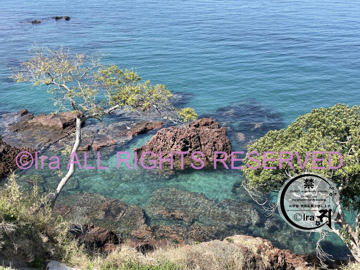鹿児島県鹿屋市トップページ.国際島漫画まはらじまで中盤登場 IMG 8567