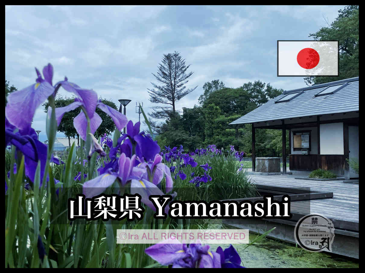 山梨県トップページ.国際島漫画まはらじま ec80c210f89b8368054cdda44517b542