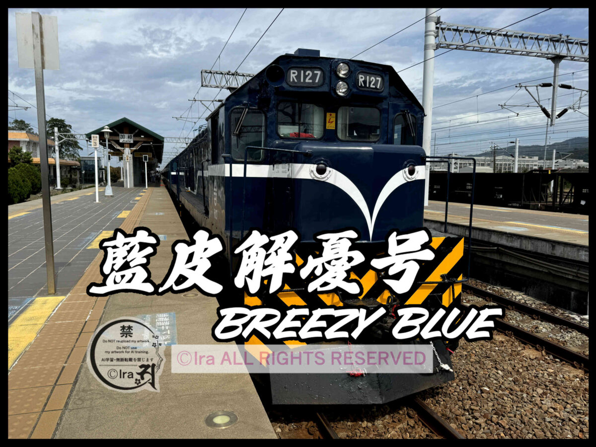 🇹🇼DAY16.藍皮解憂号(Breezy Blue)枋寮→台東🛥️27日間29島台湾一人旅 f4437174d947db227e4c44389d61b564