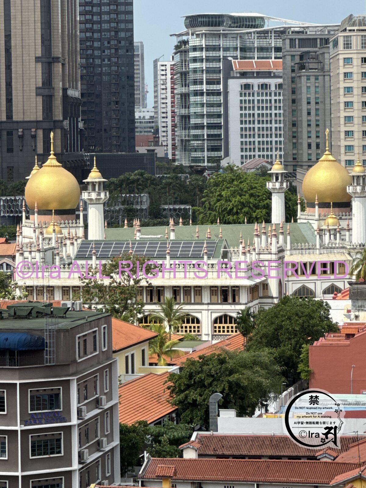 【2026】サルタンモスク訪問ベストな時間帯と撮影場所.服装注意事項シンガポールSultan Mosque IMG 6500