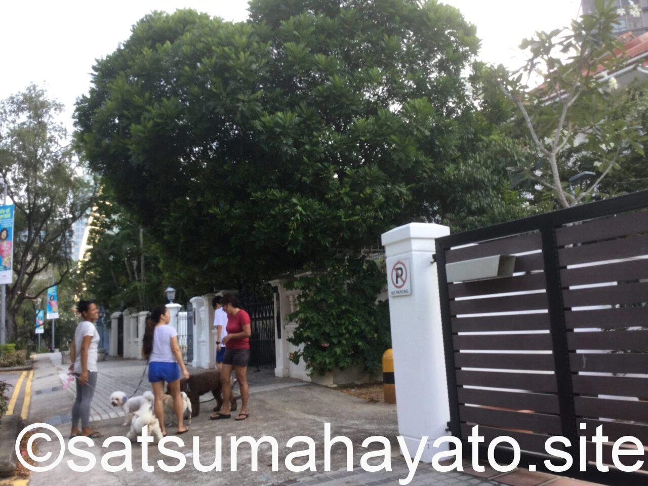 Sep 2019 Emerald Hill, Singapore 4AB85F46 69FE 402A 8857 BDC078F05D67