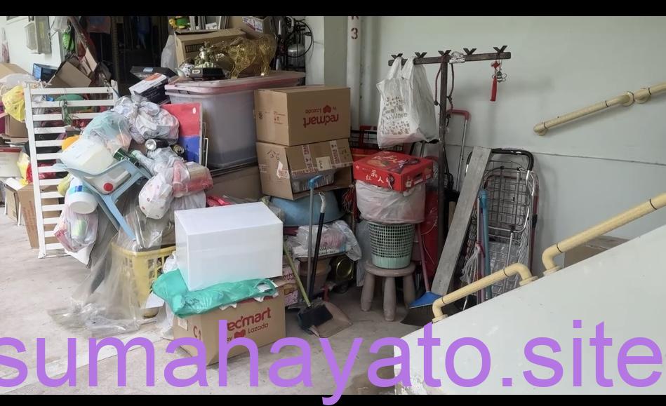 【Singapore】解雇を行いやすい国。就業期間によっては、翌日解雇で給与もその日分までで終了 IMG 0186