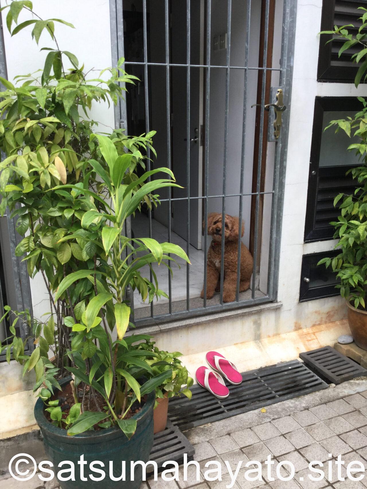 Sep 2016 Emerald Hill, Singapore IMG 0617 1