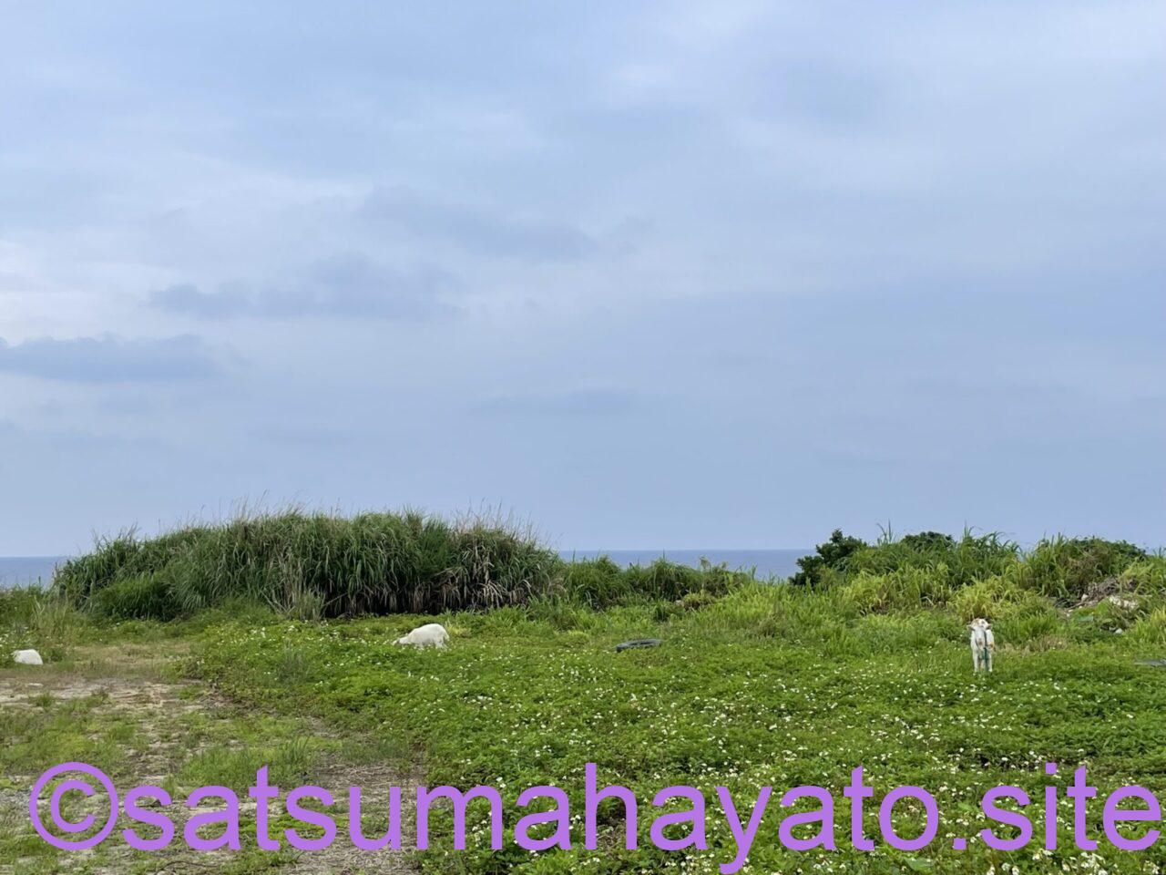 沖縄・鹿児島離島:10泊11日の一人旅4日目:沖永良部島 IMG 0924