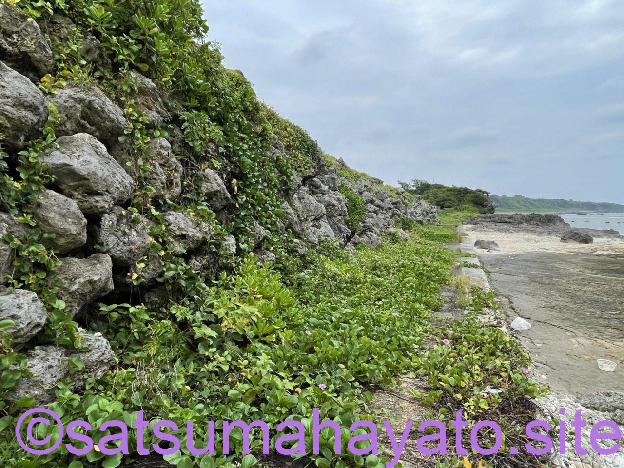 沖縄・鹿児島離島:10泊11日の一人旅4日目:沖永良部島 IMG 0944